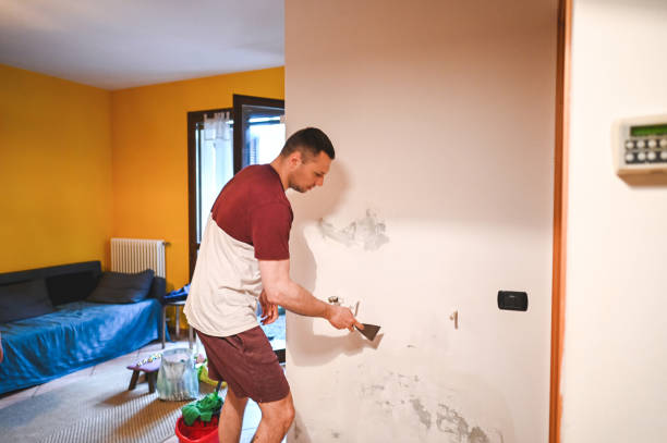 Best Residential Mold Remediation in Winthrop, IA
